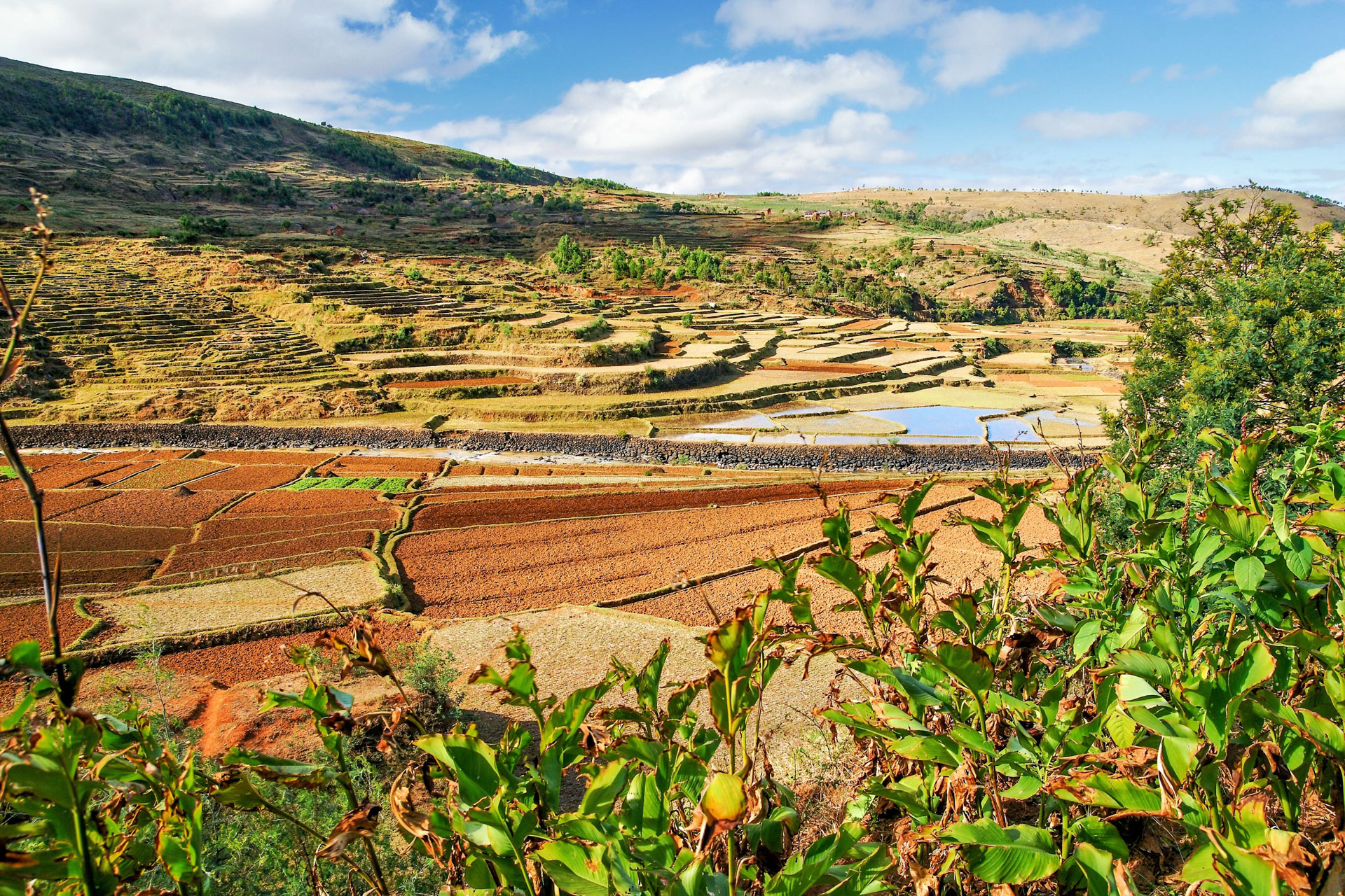 Auf halbem Weg nach Antsirabe